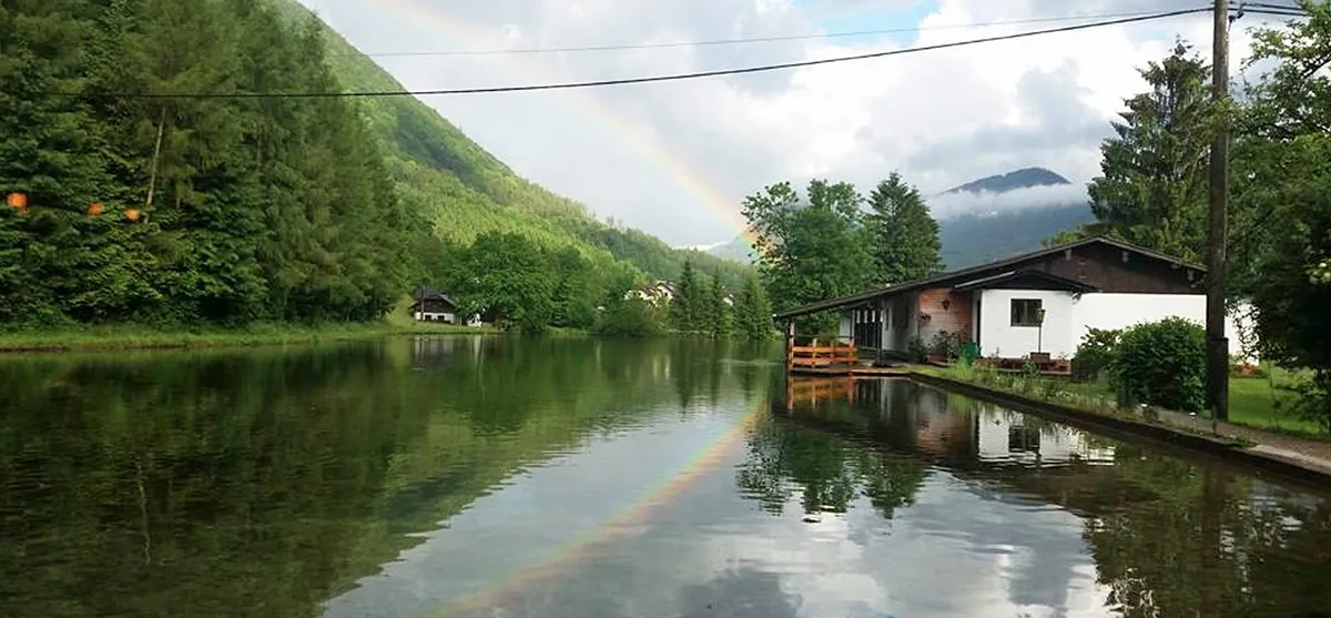 Forellenweiher mit Wald und Regenbogen beim Forellenhof - Wieselmühle in Grünau im Almtal